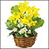 春の装飾　菜の花バスケット　H22cm