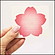 桜装飾　桜の形の「願い事シール」　40枚セット